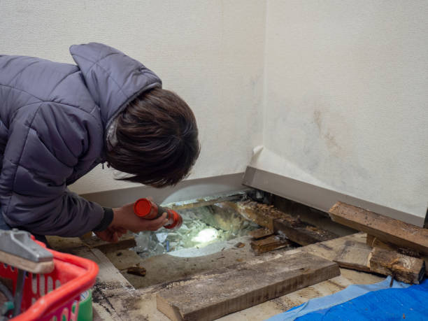 Best Industrial Mold Remediation  in West Park, NJ